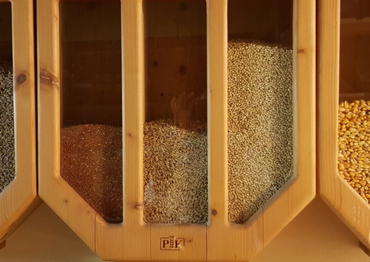 Getreide Saaten Mais Kerne Bio-Fachgeschäft SanoVital