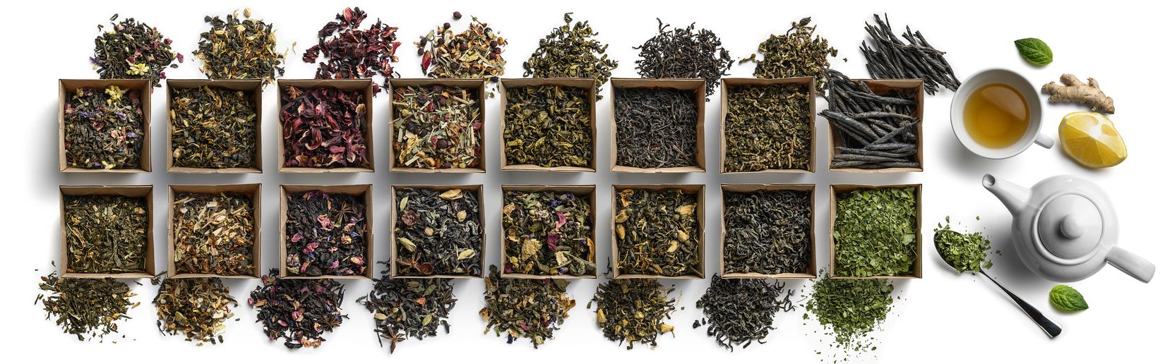 Naturbelassen Kräuter Tees Ätherische Öle SanoVital Lana Bio Fachgeschäft