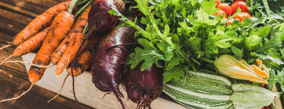 Obst Gemüse biologischer Anbau Bio Fachgeschäft SanoVital