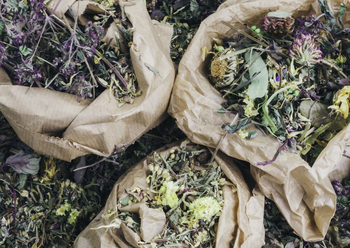 Lebensbaum Centofiori Negozio BIO  specializzato SanoVital Lana erbe spezie Sonnentor Brecht essiccato