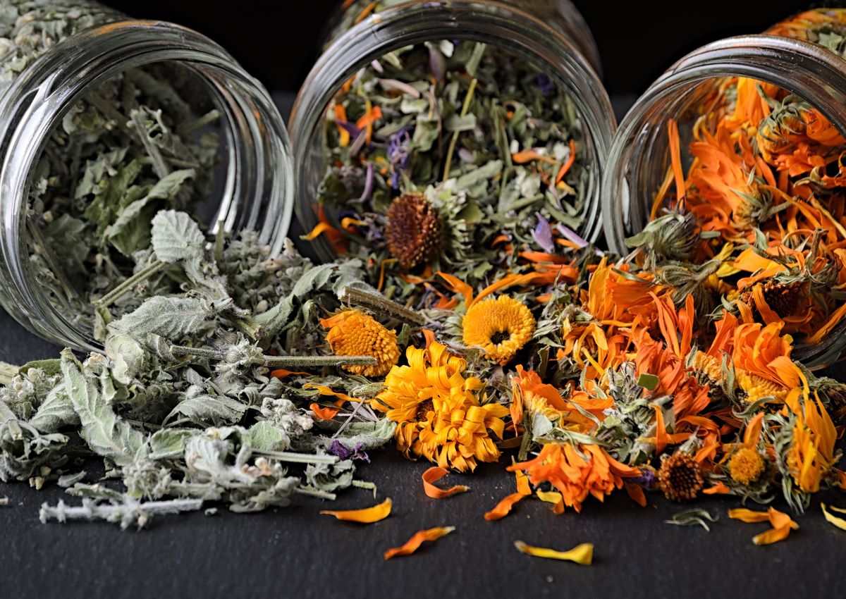 Bio natürlich Kräuter Tee ätherische Öle Fachgeschäft Sanovital Lana